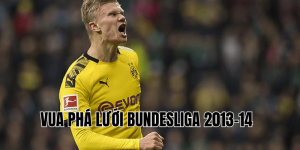 Vua Phá Lưới Bundesliga 2013-14